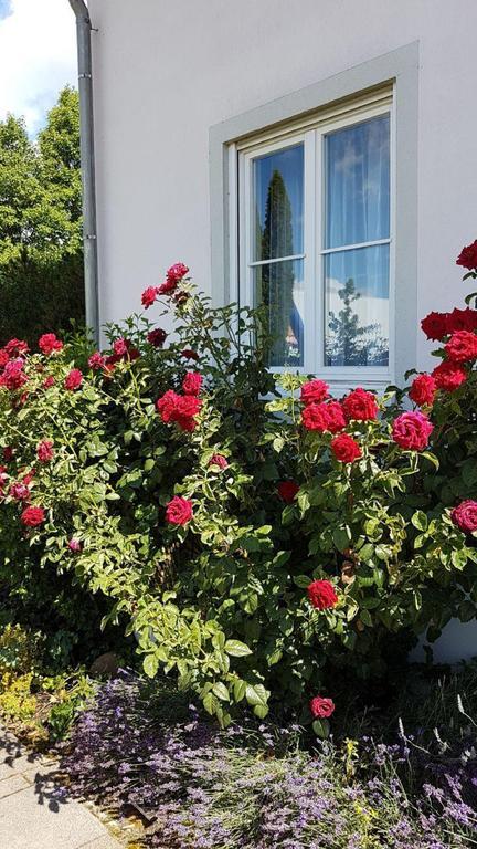 Hotel Schlossmatt Schwoerstadt ภายนอก รูปภาพ